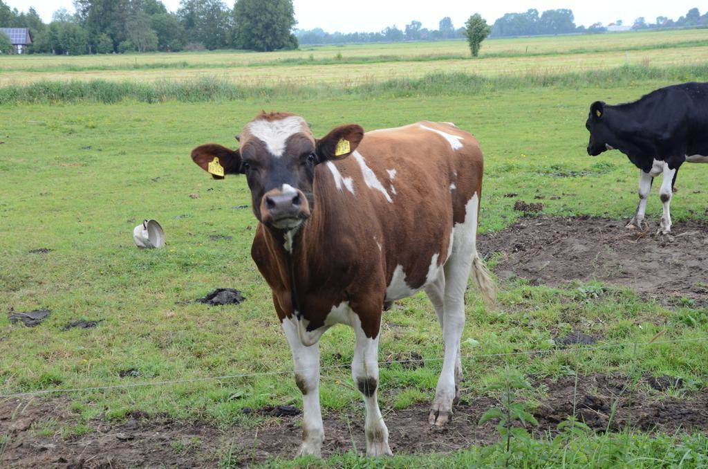 Farm Stay Hof Auf Der Wurp Harrierwurp Екстер'єр фото